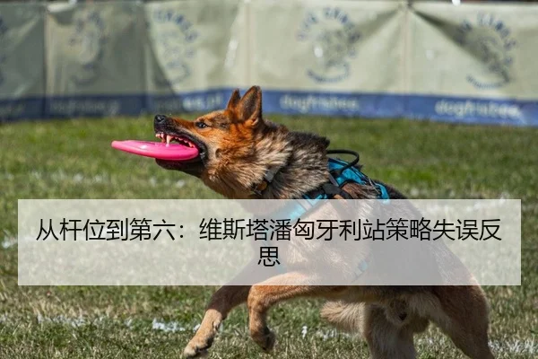 从杆位到第六：维斯塔潘匈牙利站策略失误反思